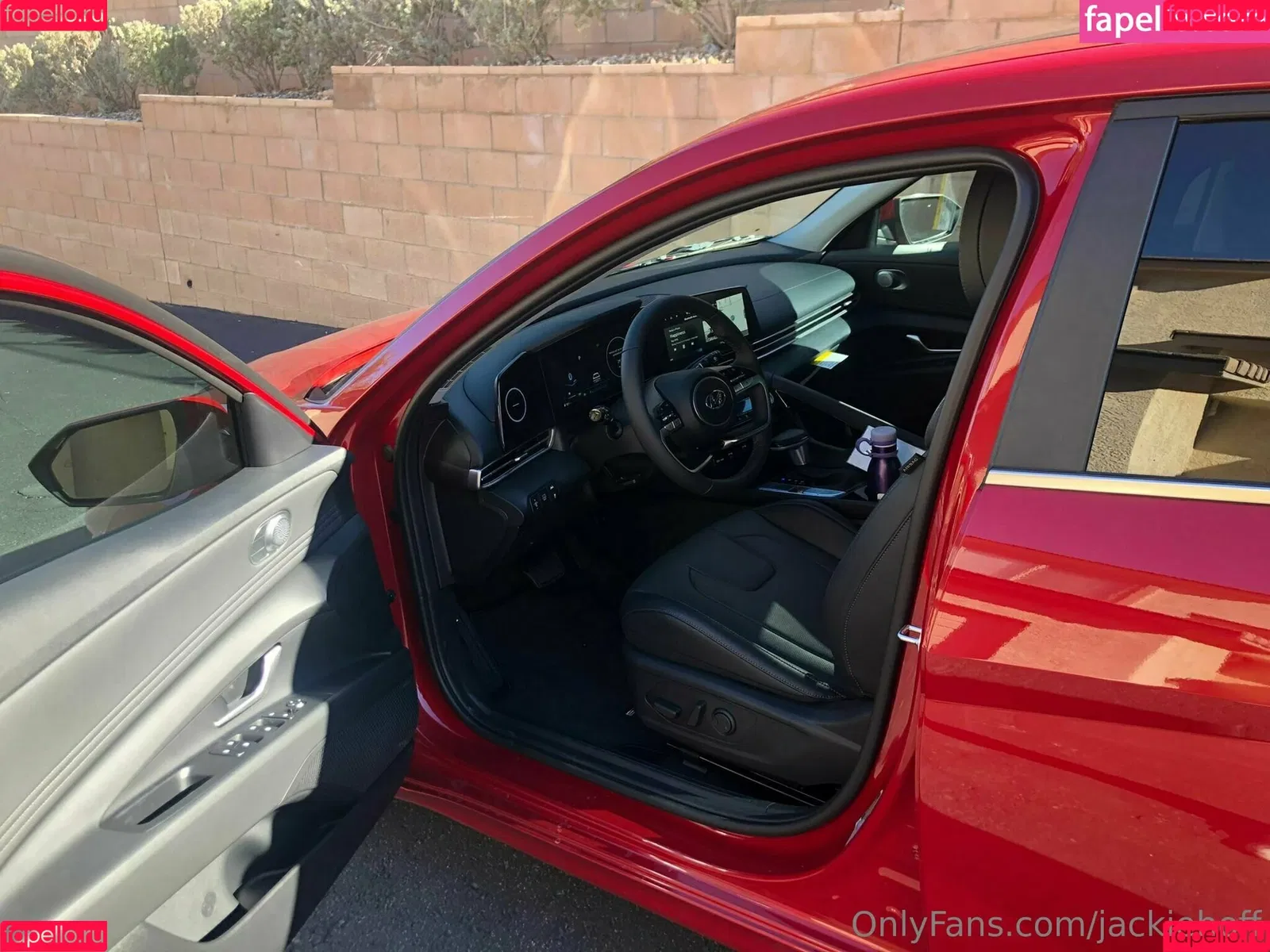 jackiehoff / jackiephoff Onlyfans Photo Gallery 