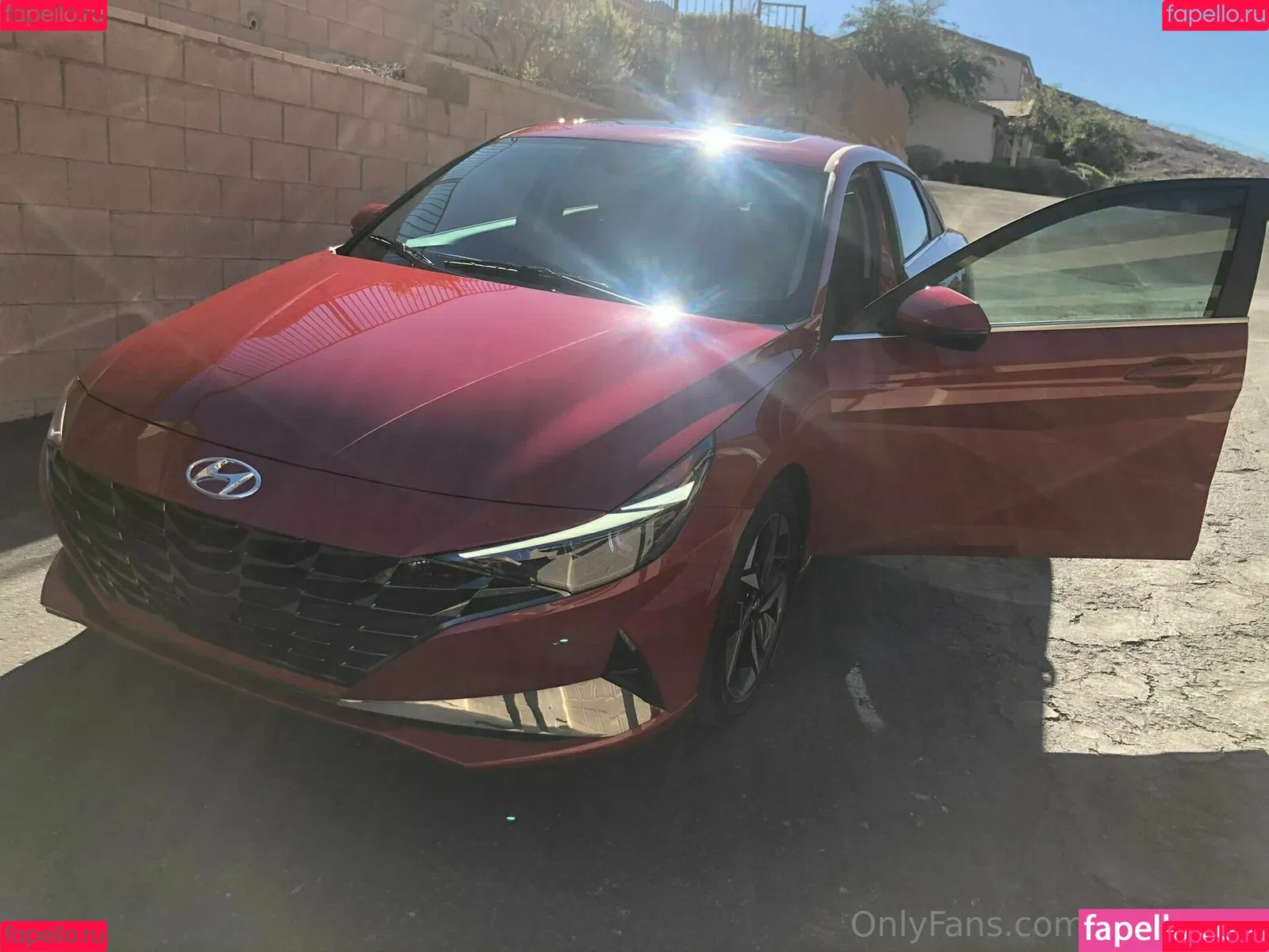 jackiehoff / jackiephoff Onlyfans Photo Gallery 