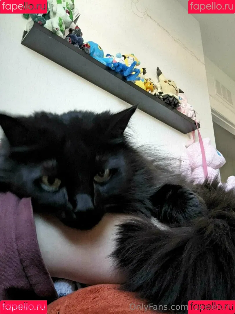 jackiehoff / jackiephoff Onlyfans Photo Gallery 