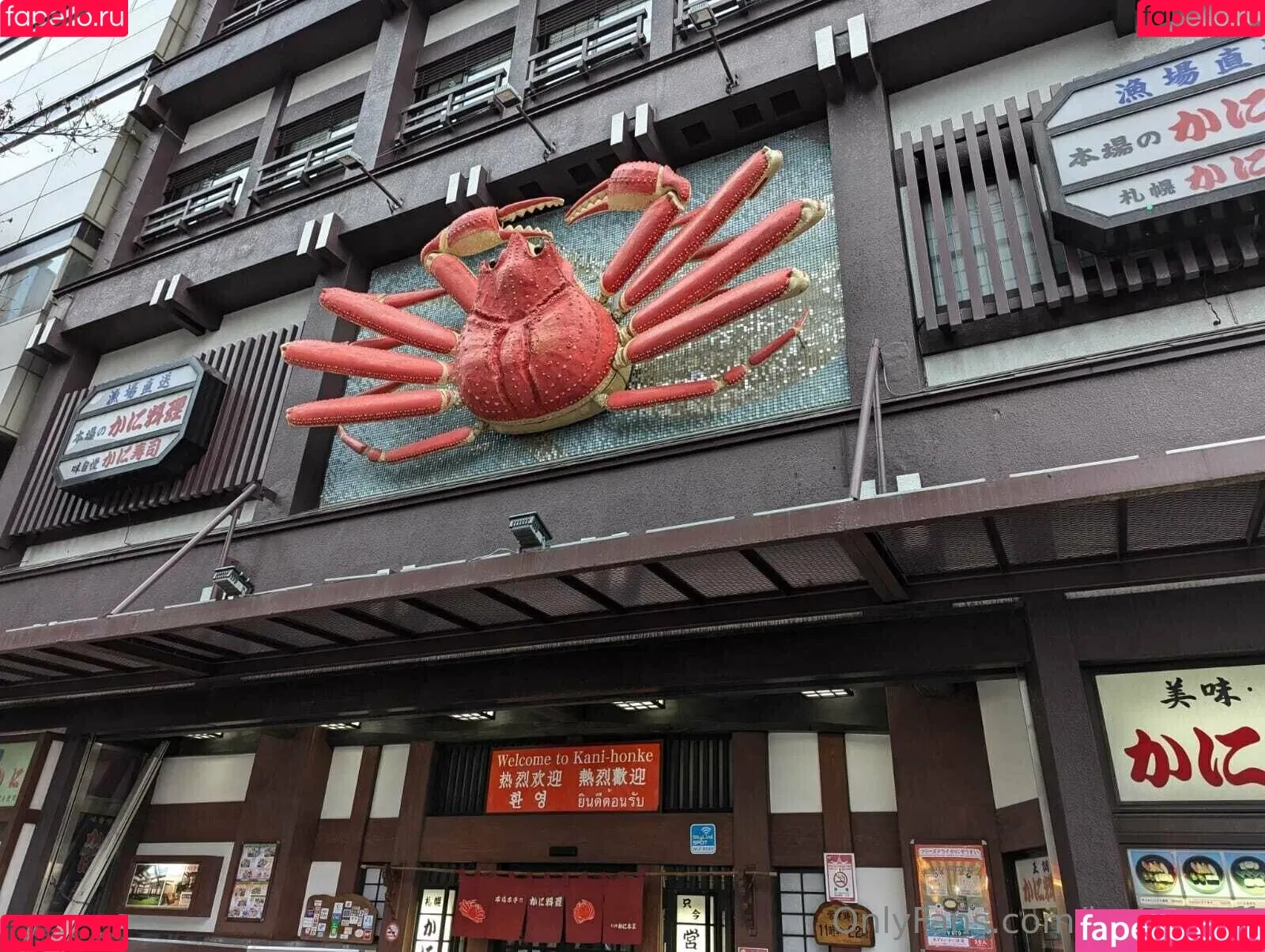 jackiehoff / jackiephoff Onlyfans Photo Gallery 