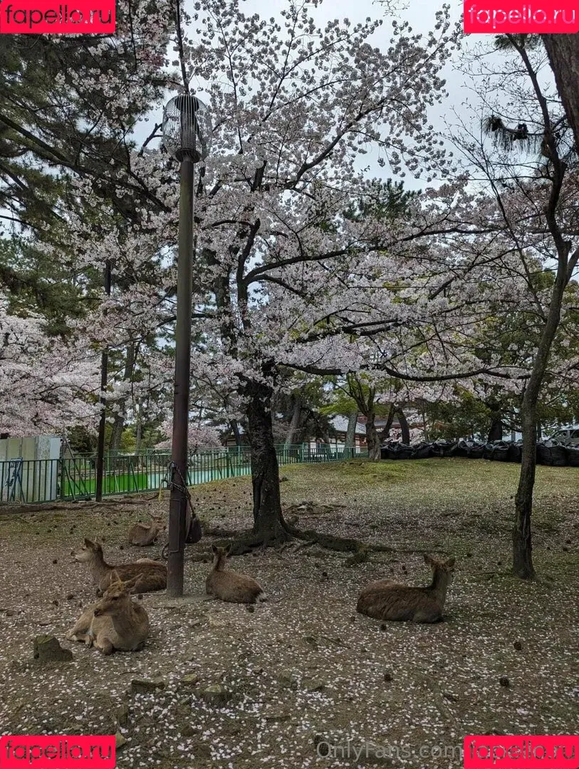 jackiehoff / jackiephoff Onlyfans Photo Gallery 