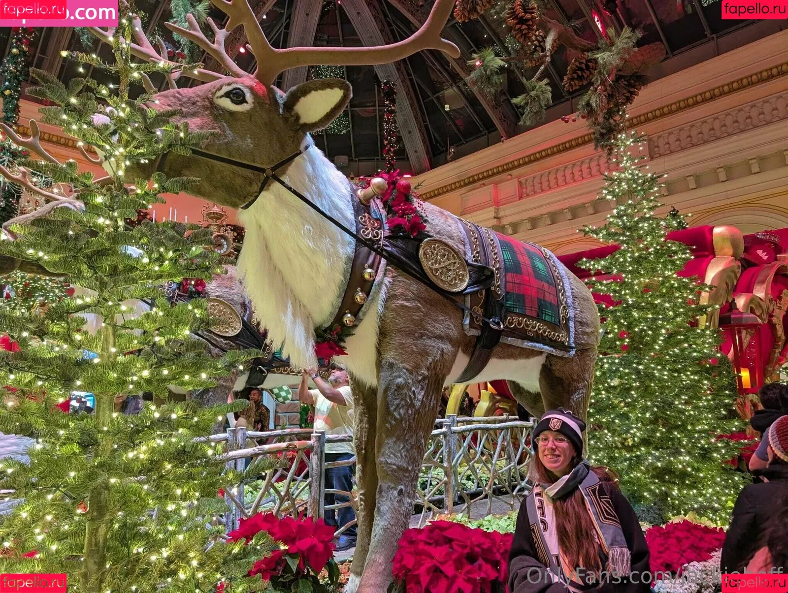 jackiehoff / jackiephoff Onlyfans Photo Gallery 