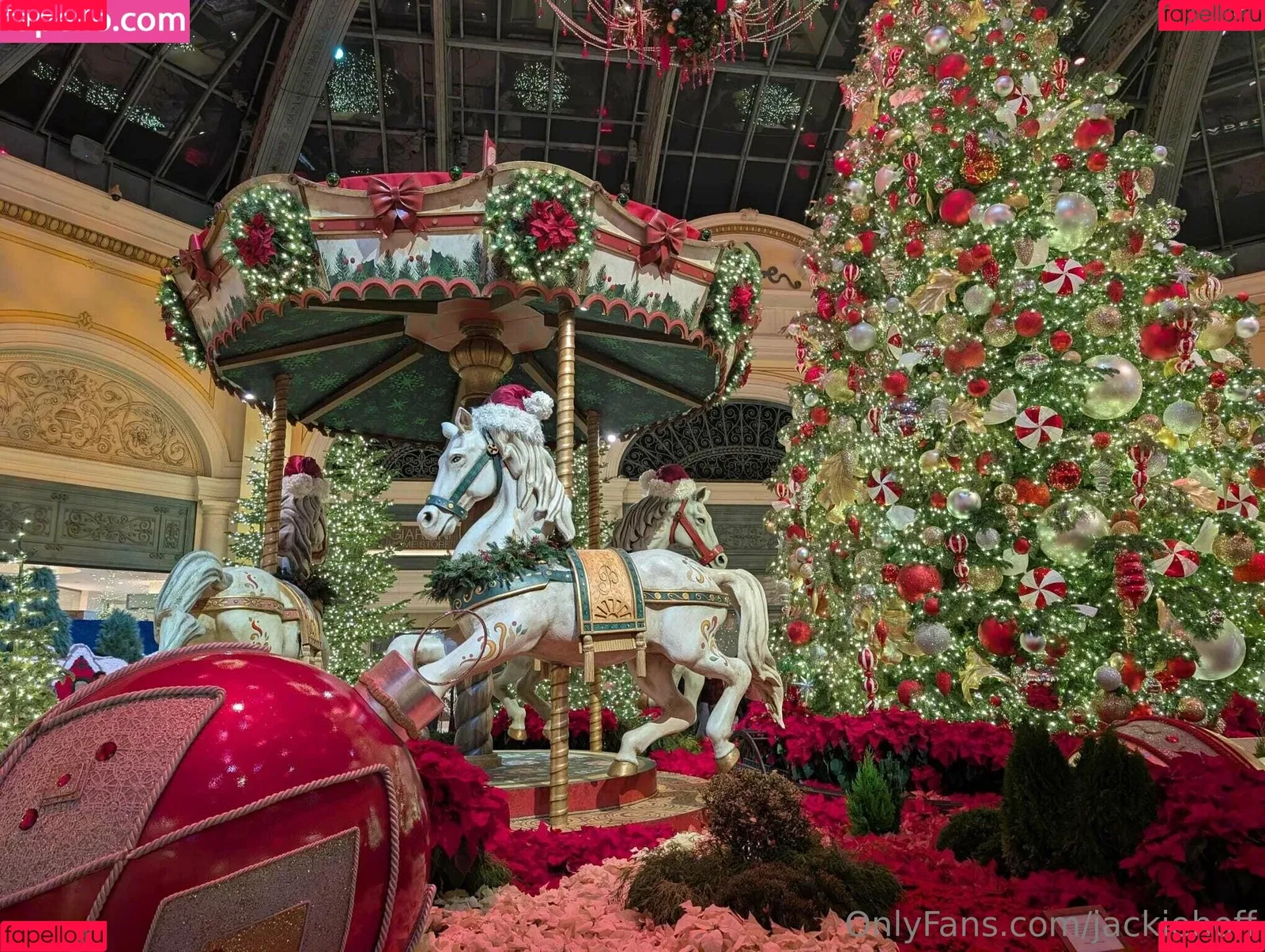 jackiehoff / jackiephoff Onlyfans Photo Gallery 