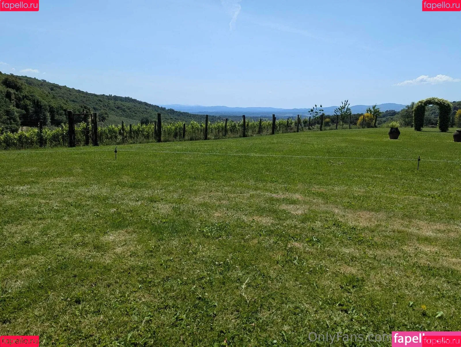 jackiehoff / jackiephoff Onlyfans Photo Gallery 