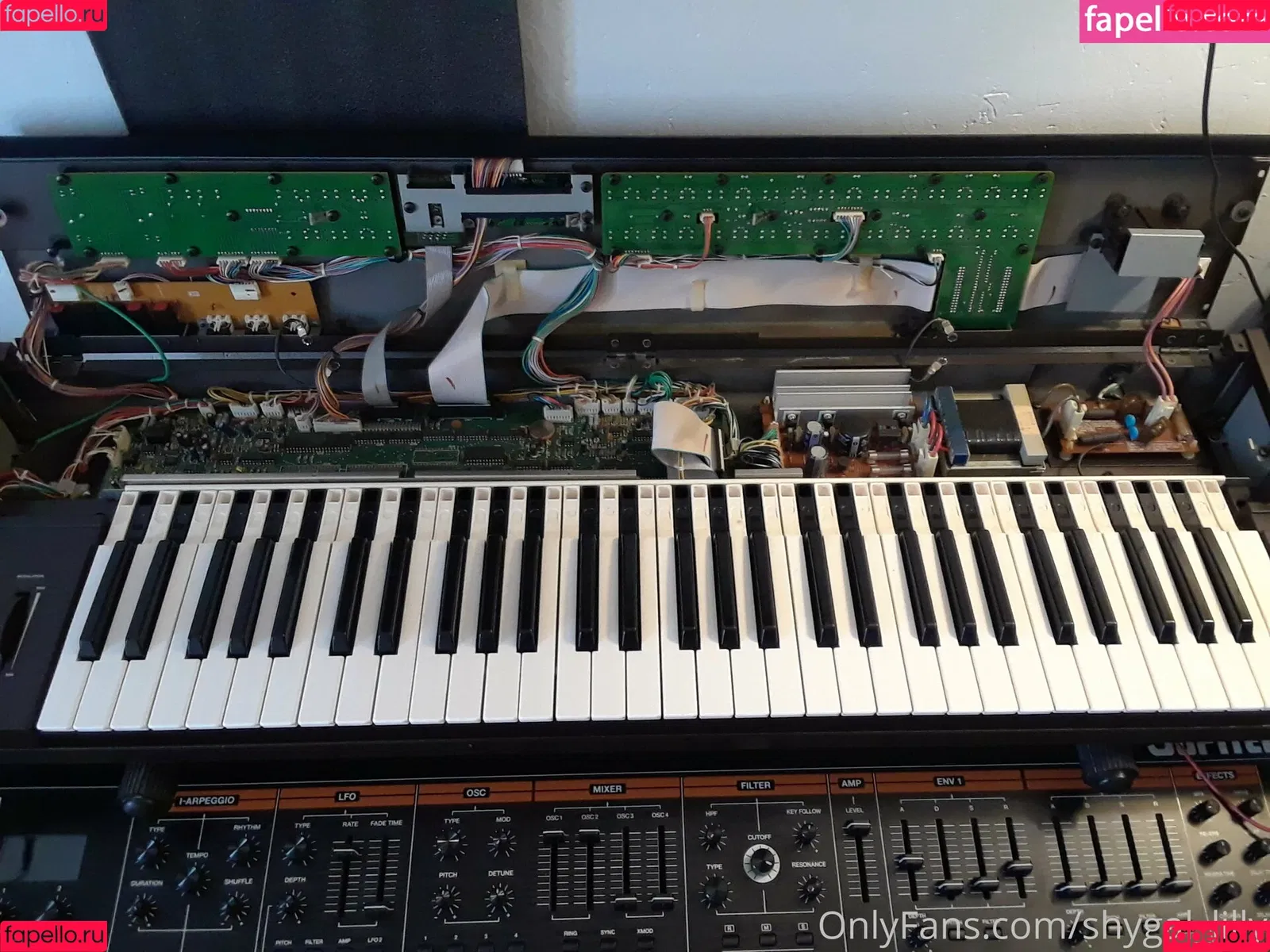 ShyGal_Lilly / shyishgal Onlyfans Photo Gallery 