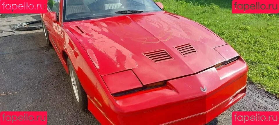 ShyGal_Lilly / shyishgal Onlyfans Photo Gallery 