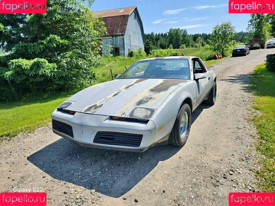 ShyGal_Lilly / shyishgal Onlyfans Photo Gallery 