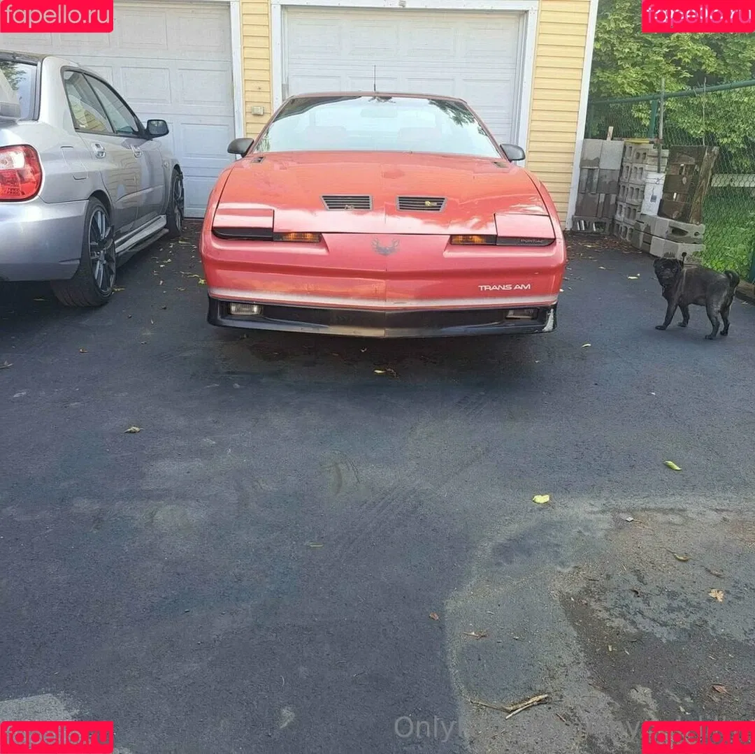 ShyGal_Lilly / shyishgal Onlyfans Photo Gallery 