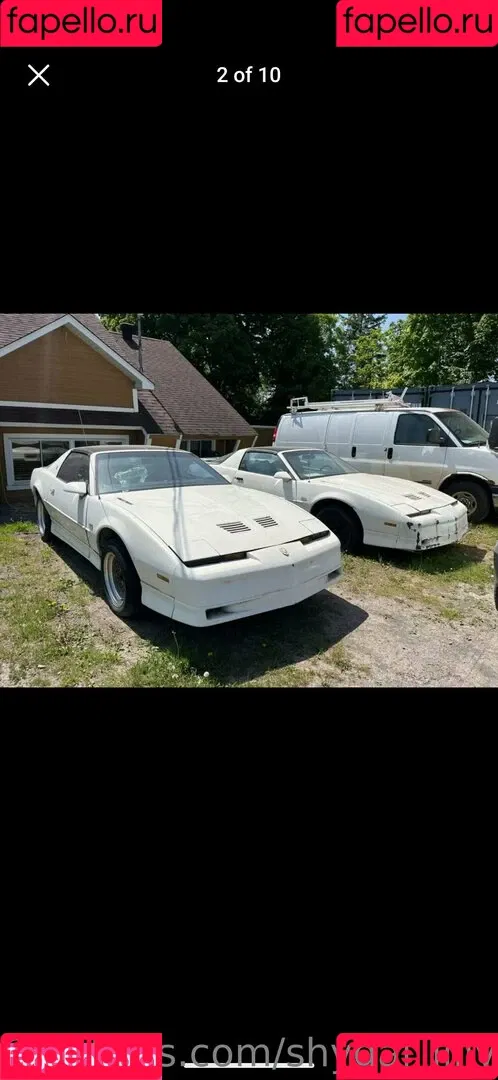 ShyGal_Lilly / shyishgal Onlyfans Photo Gallery 