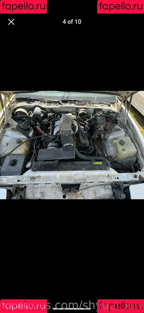 ShyGal_Lilly / shyishgal Onlyfans Photo Gallery 