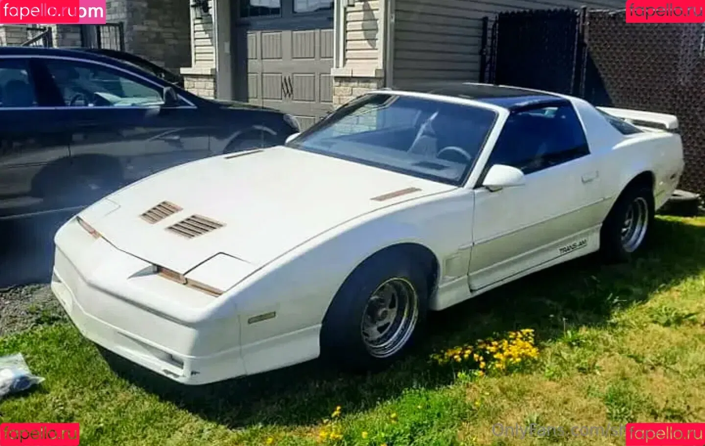 ShyGal_Lilly / shyishgal Onlyfans Photo Gallery 