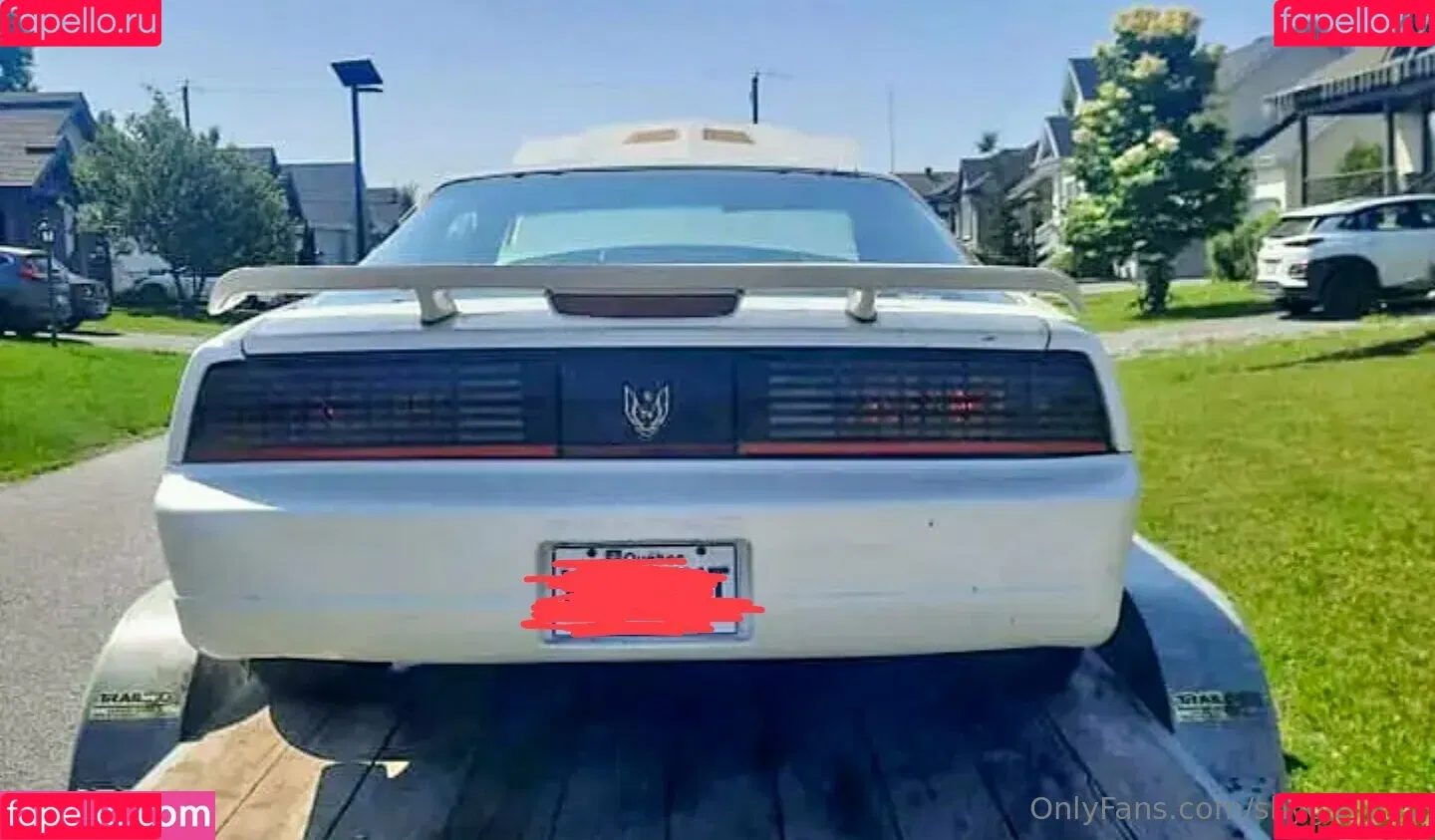 ShyGal_Lilly / shyishgal Onlyfans Photo Gallery 