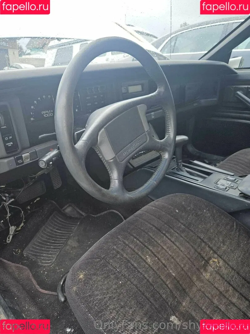 ShyGal_Lilly / shyishgal Onlyfans Photo Gallery 