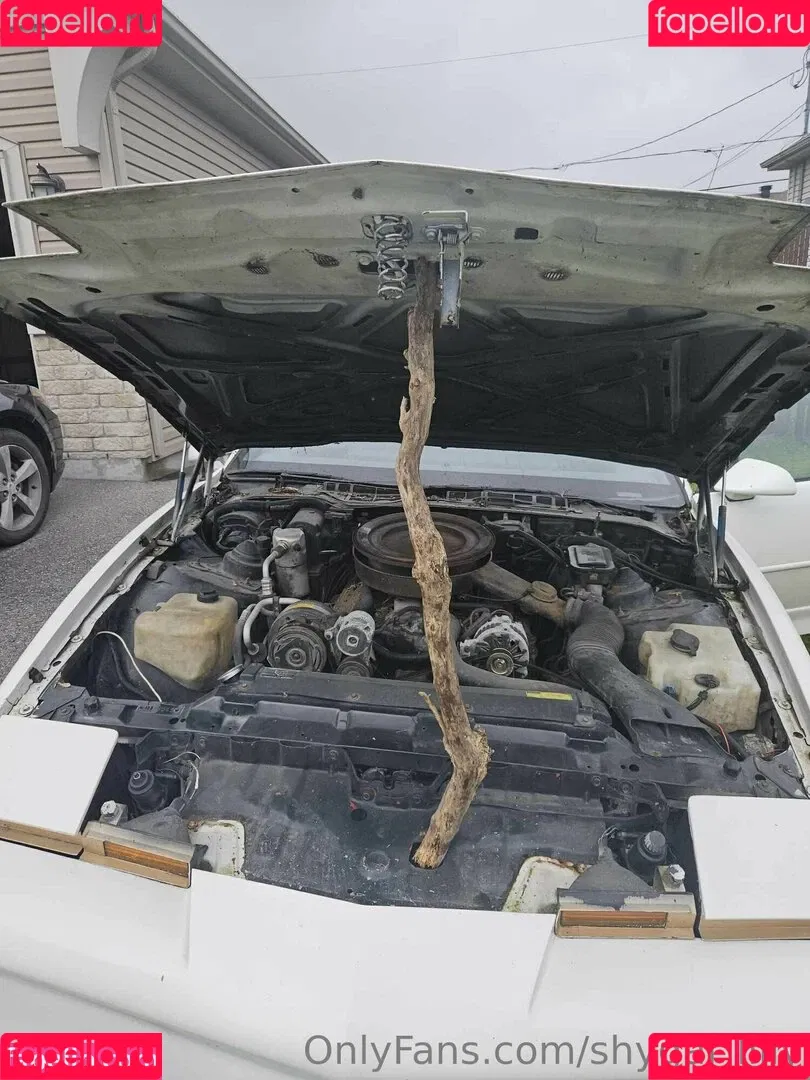 ShyGal_Lilly / shyishgal Onlyfans Photo Gallery 