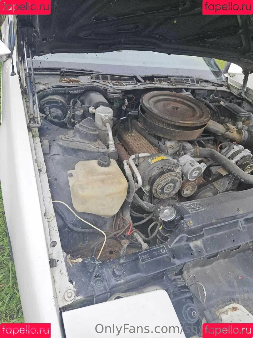 ShyGal_Lilly / shyishgal Onlyfans Photo Gallery 