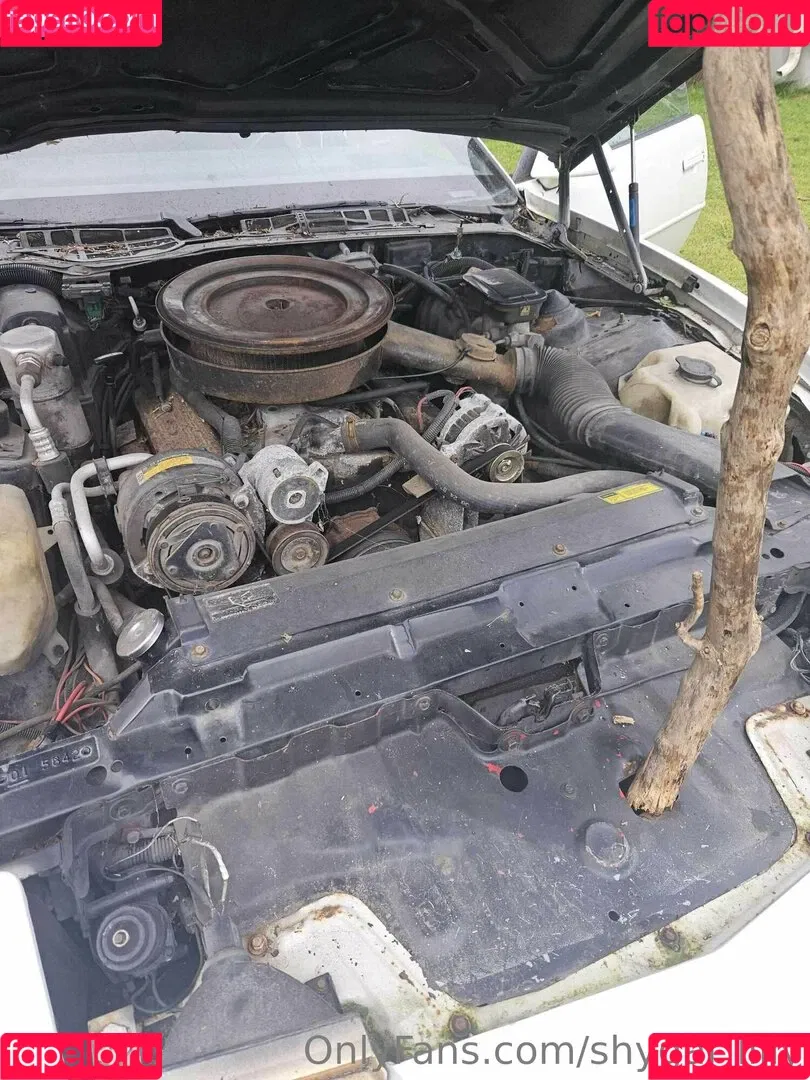 ShyGal_Lilly / shyishgal Onlyfans Photo Gallery 