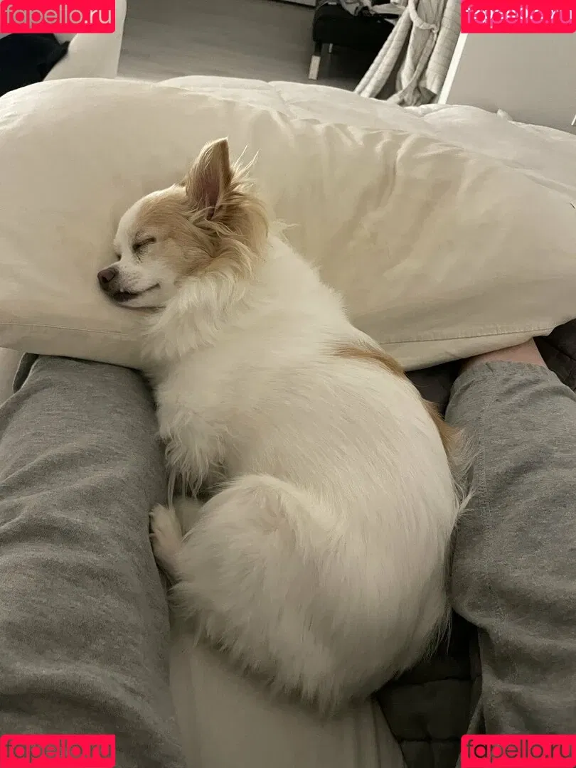 Sofia Sunshine / x.sofiasunshine / xsofiasunshine Onlyfans Photo Gallery 