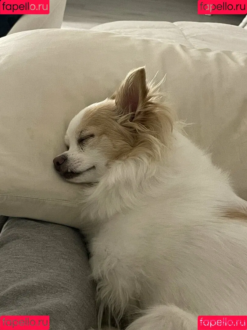 Sofia Sunshine / x.sofiasunshine / xsofiasunshine Onlyfans Photo Gallery 