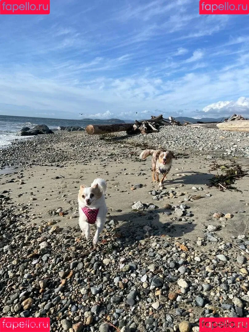 Sofia Sunshine / x.sofiasunshine / xsofiasunshine Onlyfans Photo Gallery 