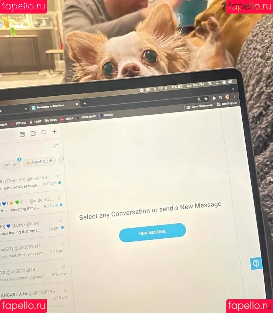 Sofia Sunshine / x.sofiasunshine / xsofiasunshine Onlyfans Photo Gallery 