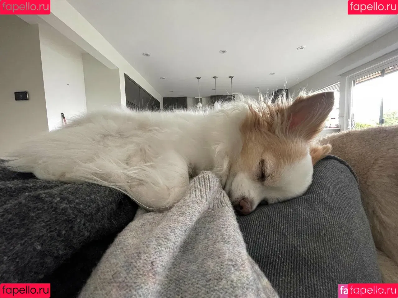 Sofia Sunshine / x.sofiasunshine / xsofiasunshine Onlyfans Photo Gallery 