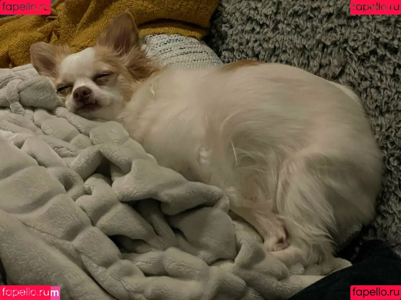 Sofia Sunshine / x.sofiasunshine / xsofiasunshine Onlyfans Photo Gallery 