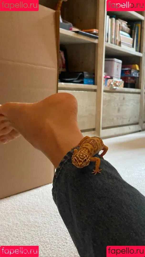 Maya Hawke / maya_hawke / neohawk2 Onlyfans Photo Gallery 