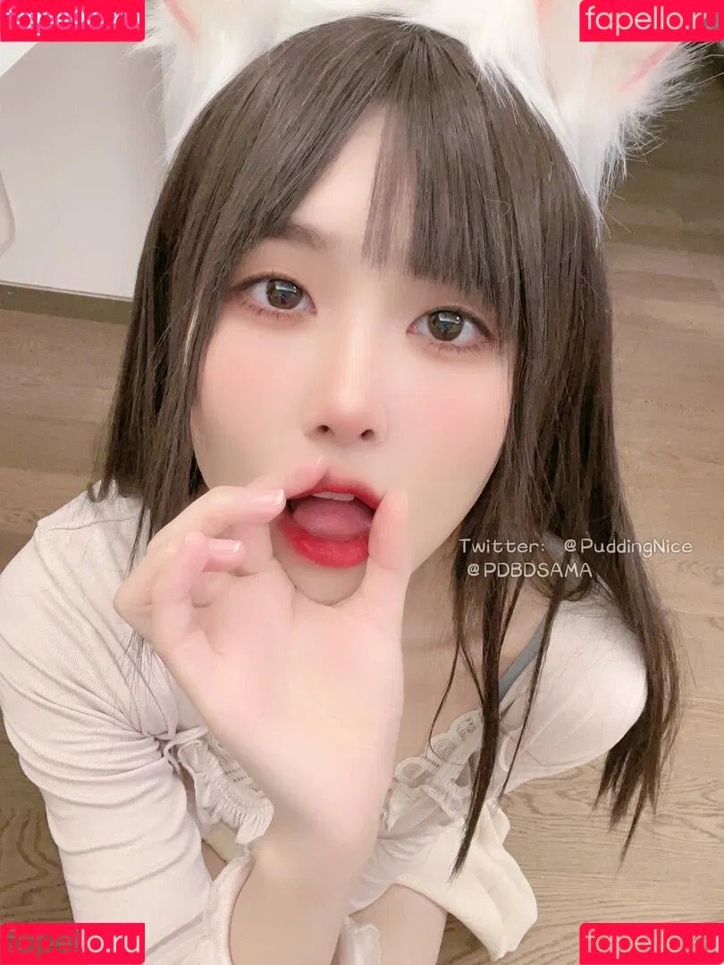 Puddingnice / bunnyboyfriend / 布丁 Onlyfans Photo Gallery 