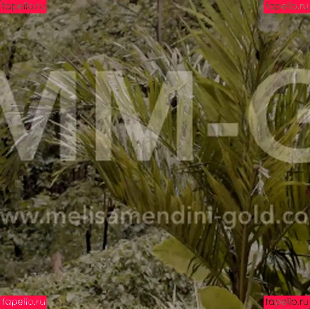 Melisa Mendini / melisamendini / melisamendiniofficial Onlyfans Photo Gallery 