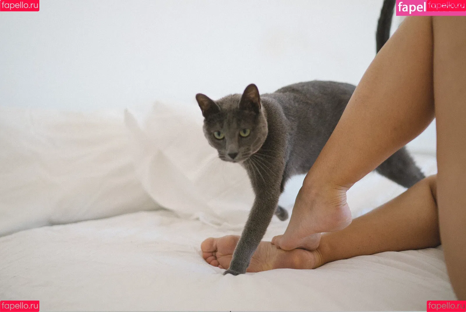 Melisa Mendini / melisamendini / melisamendiniofficial Onlyfans Photo Gallery 