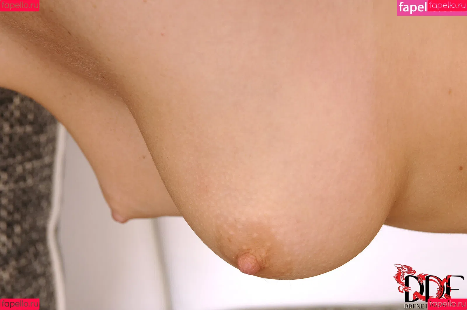 Michelle H. aka The Red Fox / ne_prosto_lisa / redfoxofficial Onlyfans Photo Gallery 