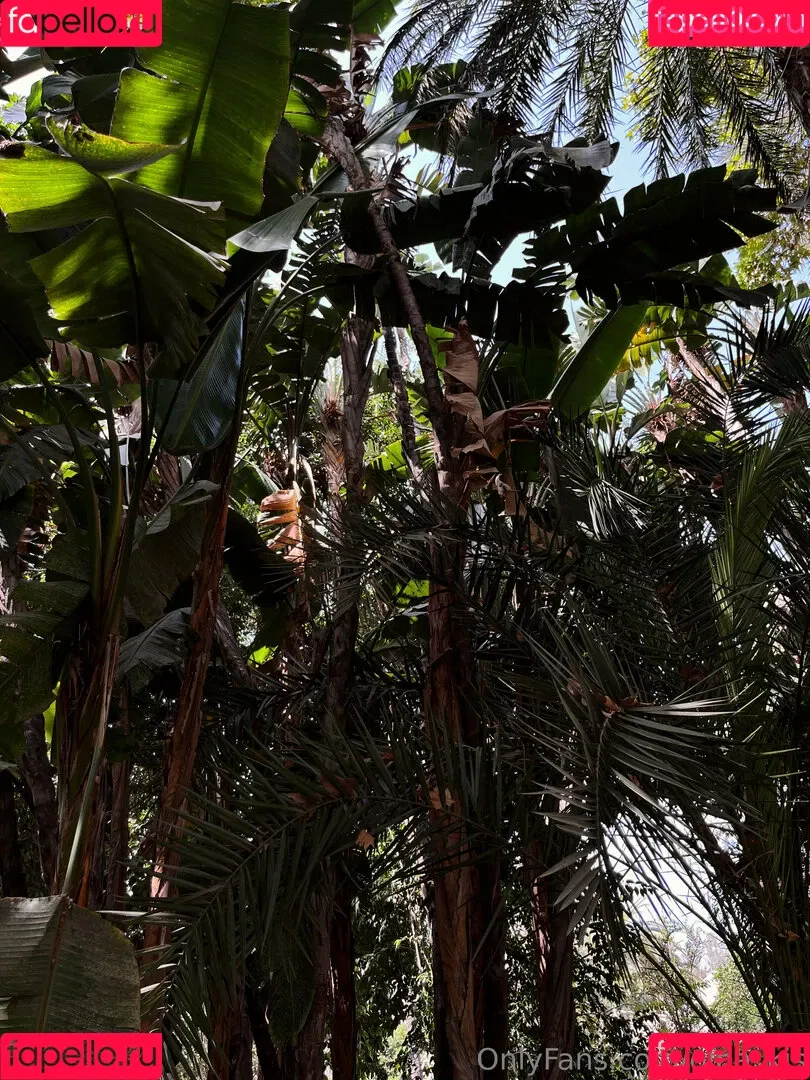 xxxoli Onlyfans Photo Gallery 