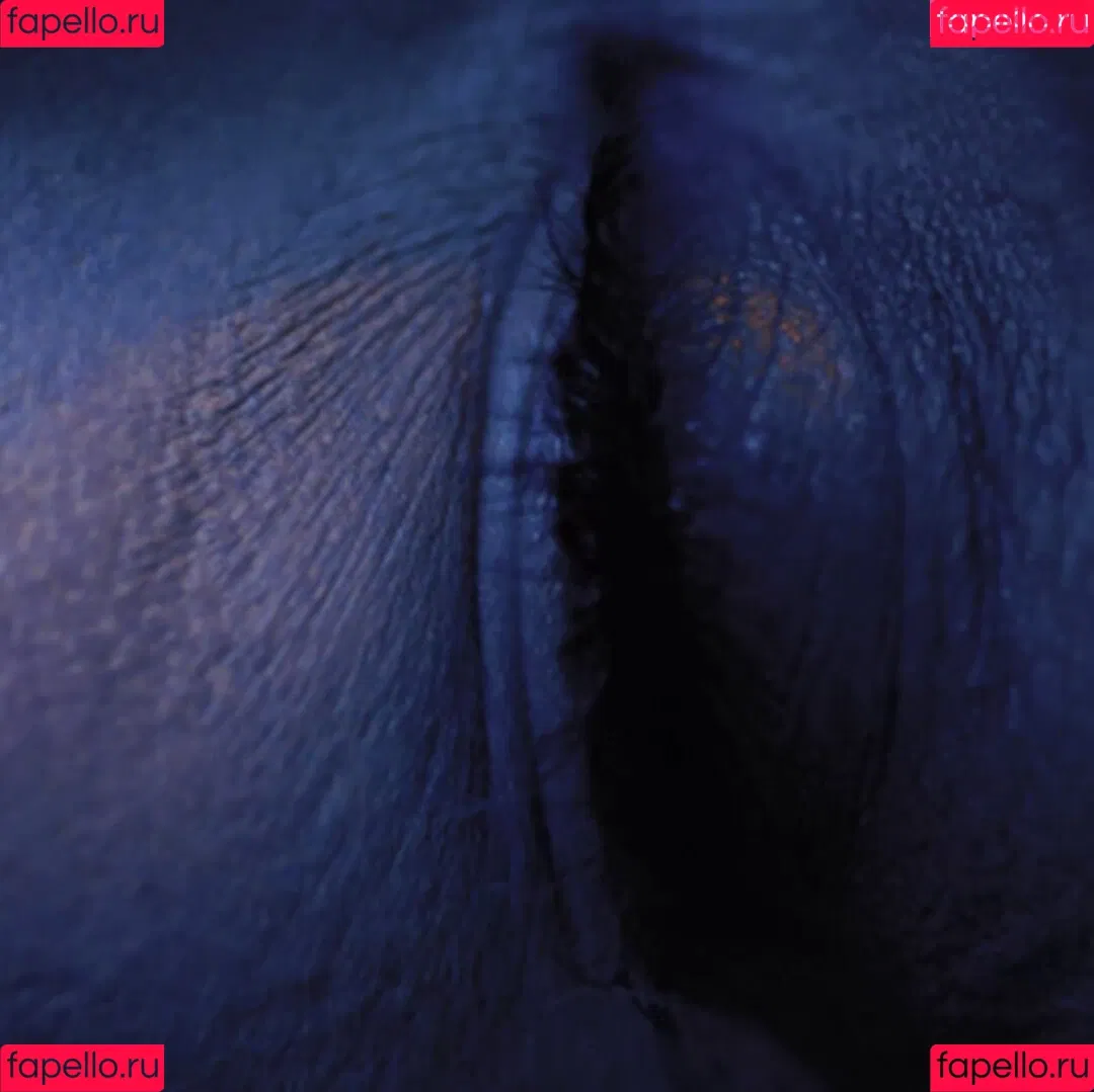 Haley Reed / and / haleyreedx / https: / thehaleyreed Onlyfans Photo Gallery 