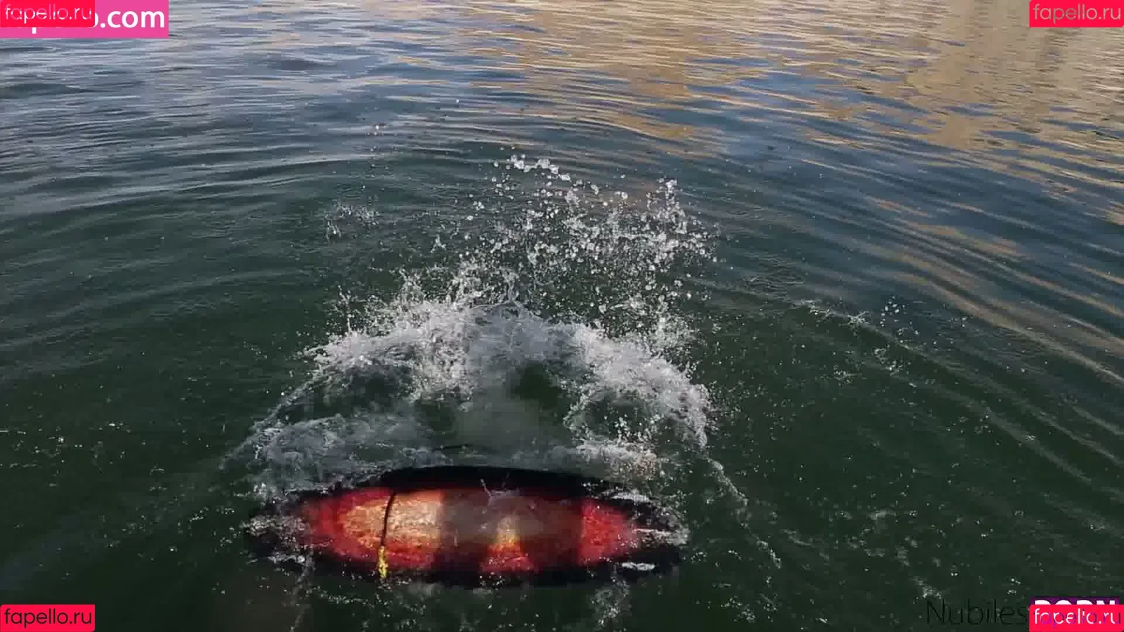 Haley Reed / and / haleyreedx / https: / thehaleyreed Onlyfans Photo Gallery 