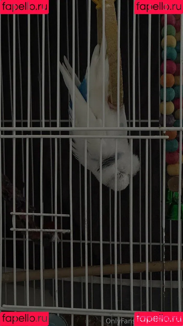 Dionkadi / dionkadi_ Onlyfans Photo Gallery 