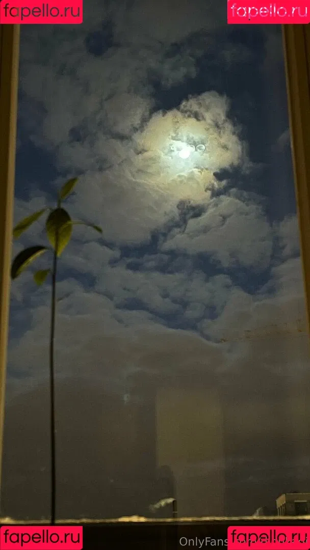 Dionkadi / dionkadi_ Onlyfans Photo Gallery 