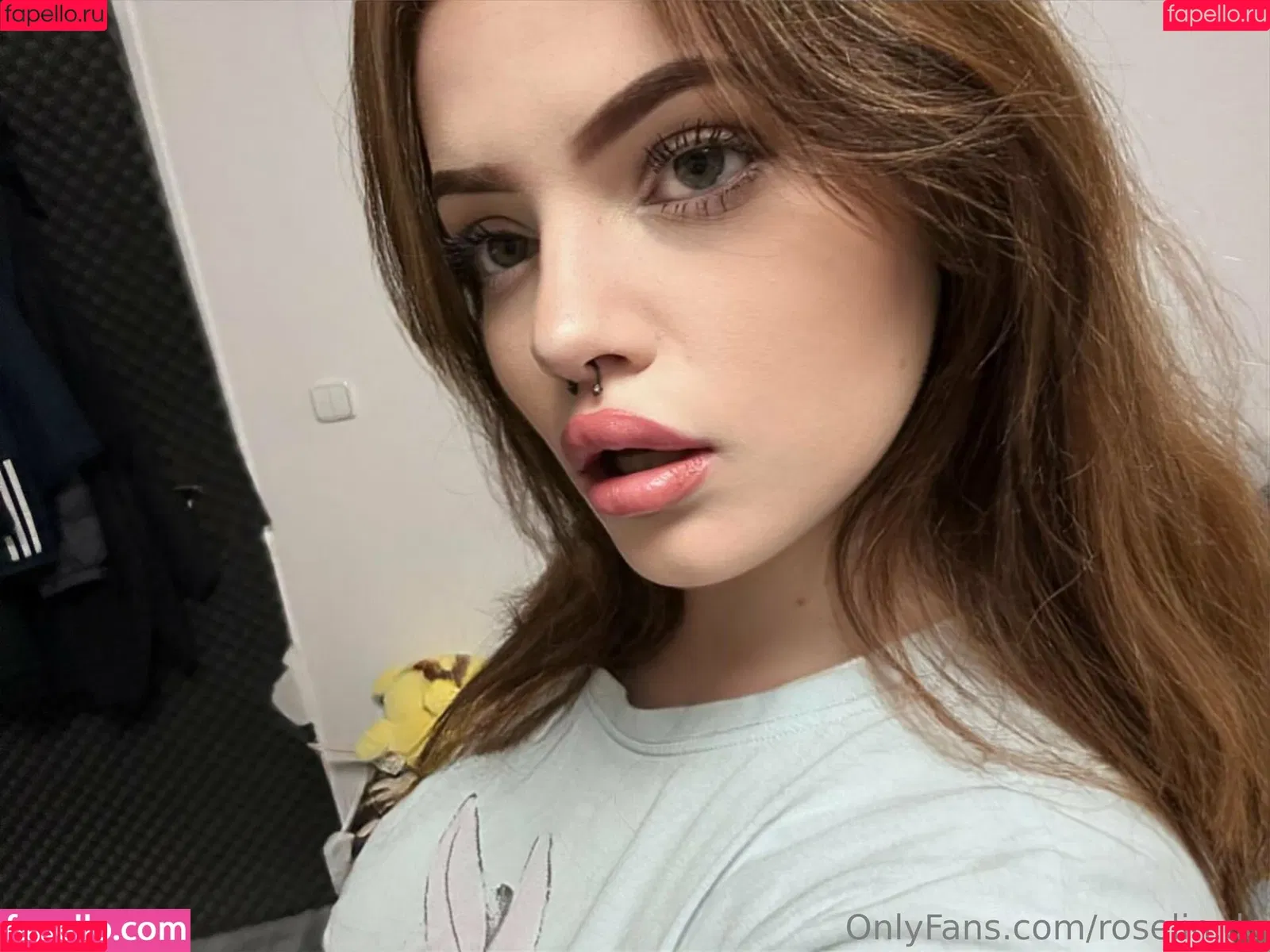 roselin.de / roselin_dey Onlyfans Photo Gallery 