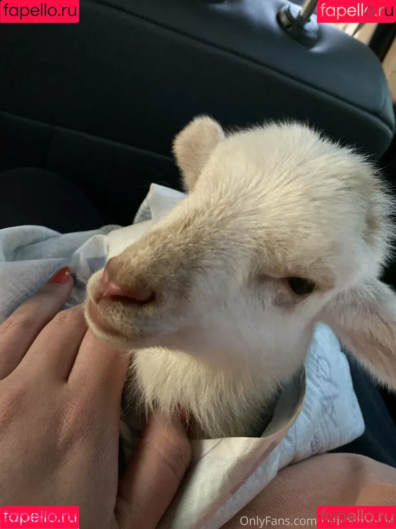 clairouniversal / clairrobinsvip Onlyfans Photo Gallery 