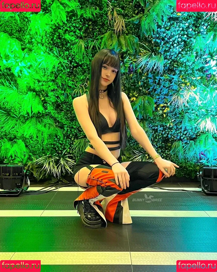 BreesKnees / BunnyGirlBree / breebunny Onlyfans Photo Gallery 