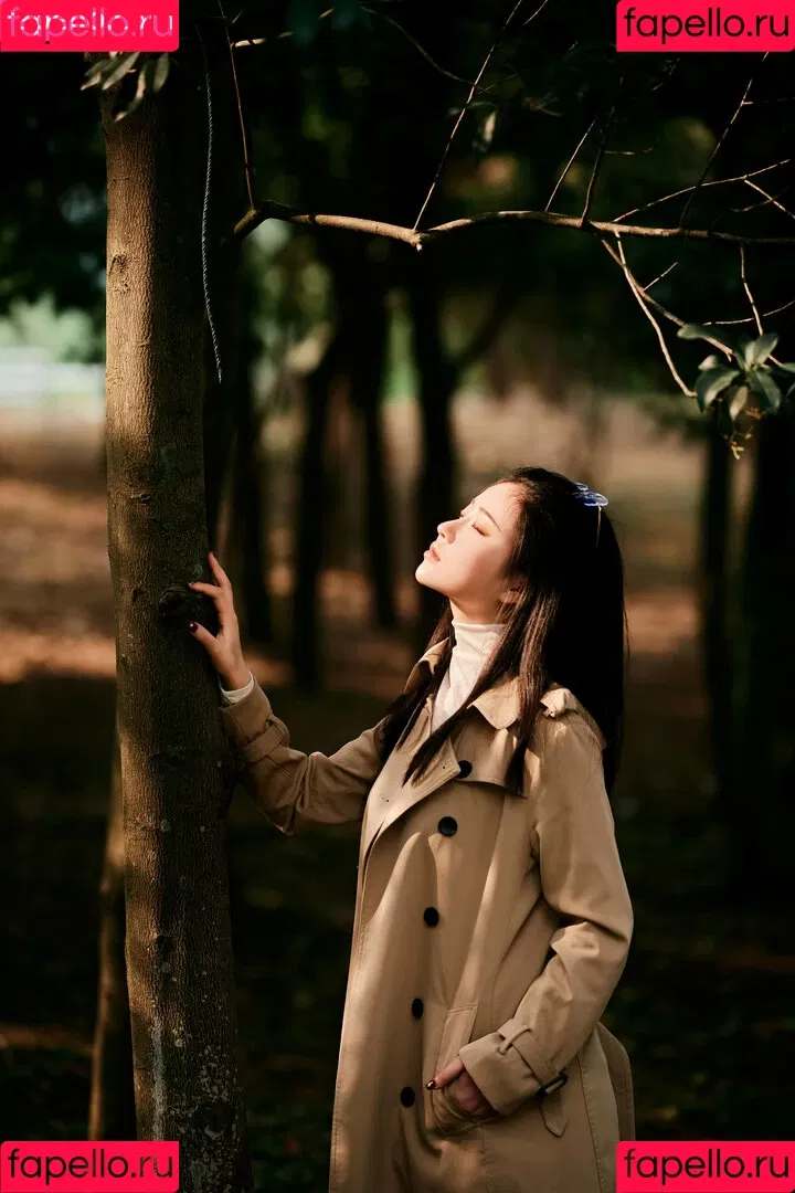 nianlin / nnian_ / nnian_011 Onlyfans Photo Gallery 