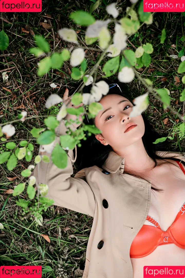 nianlin / nnian_ / nnian_011 Onlyfans Photo Gallery 