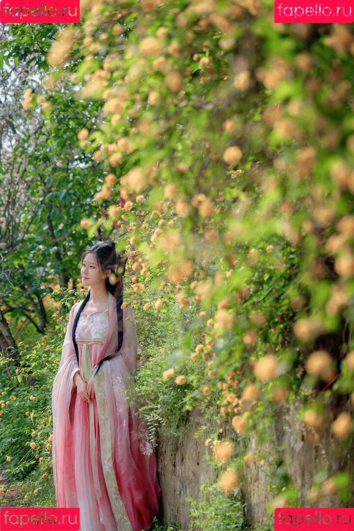 nianlin / nnian_ / nnian_011 Onlyfans Photo Gallery 