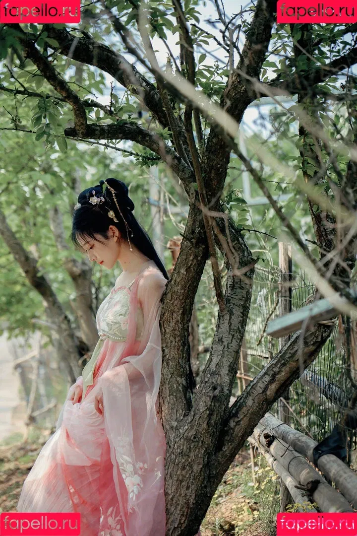 nianlin / nnian_ / nnian_011 Onlyfans Photo Gallery 