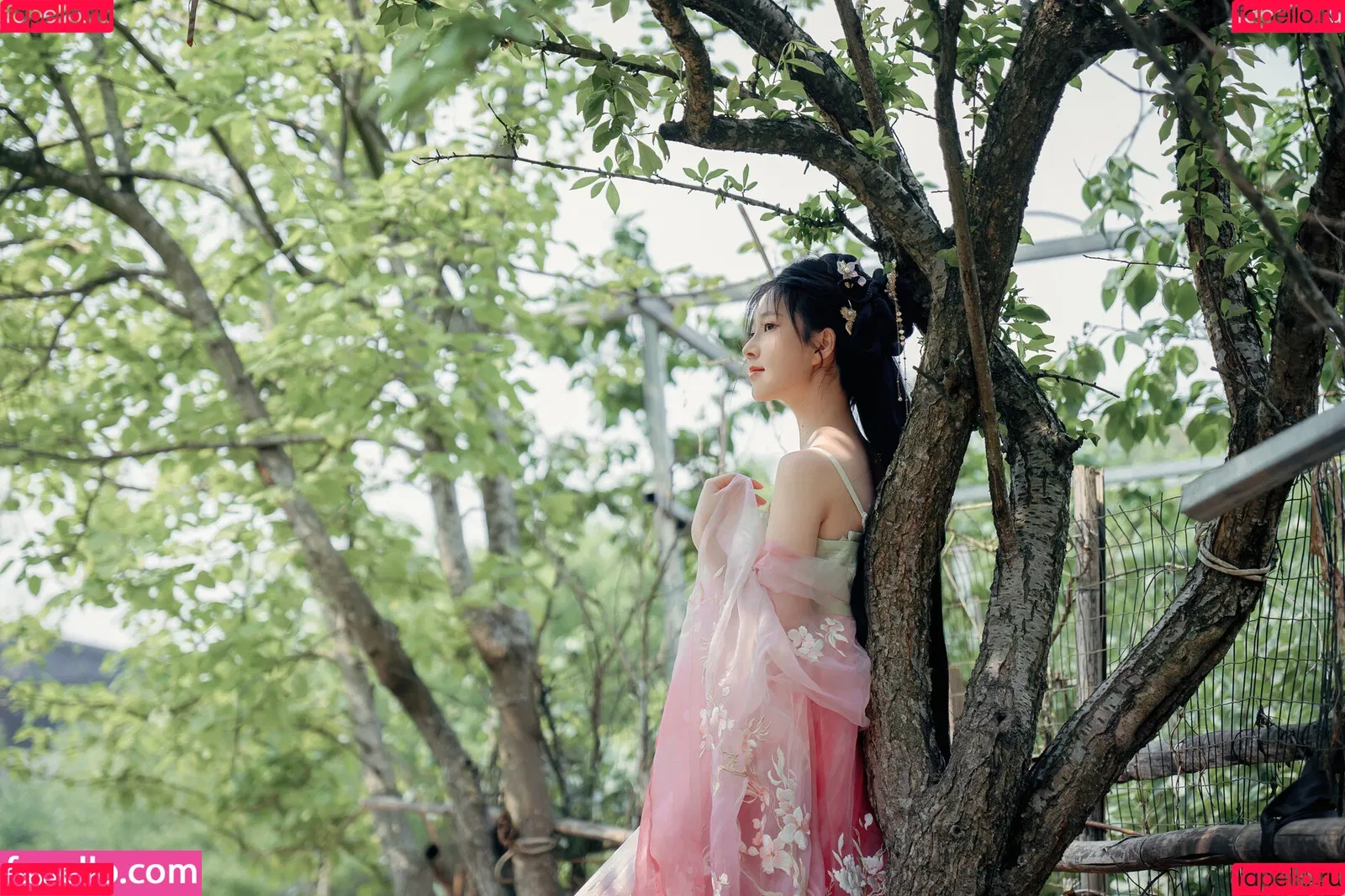 nianlin / nnian_ / nnian_011 Onlyfans Photo Gallery 