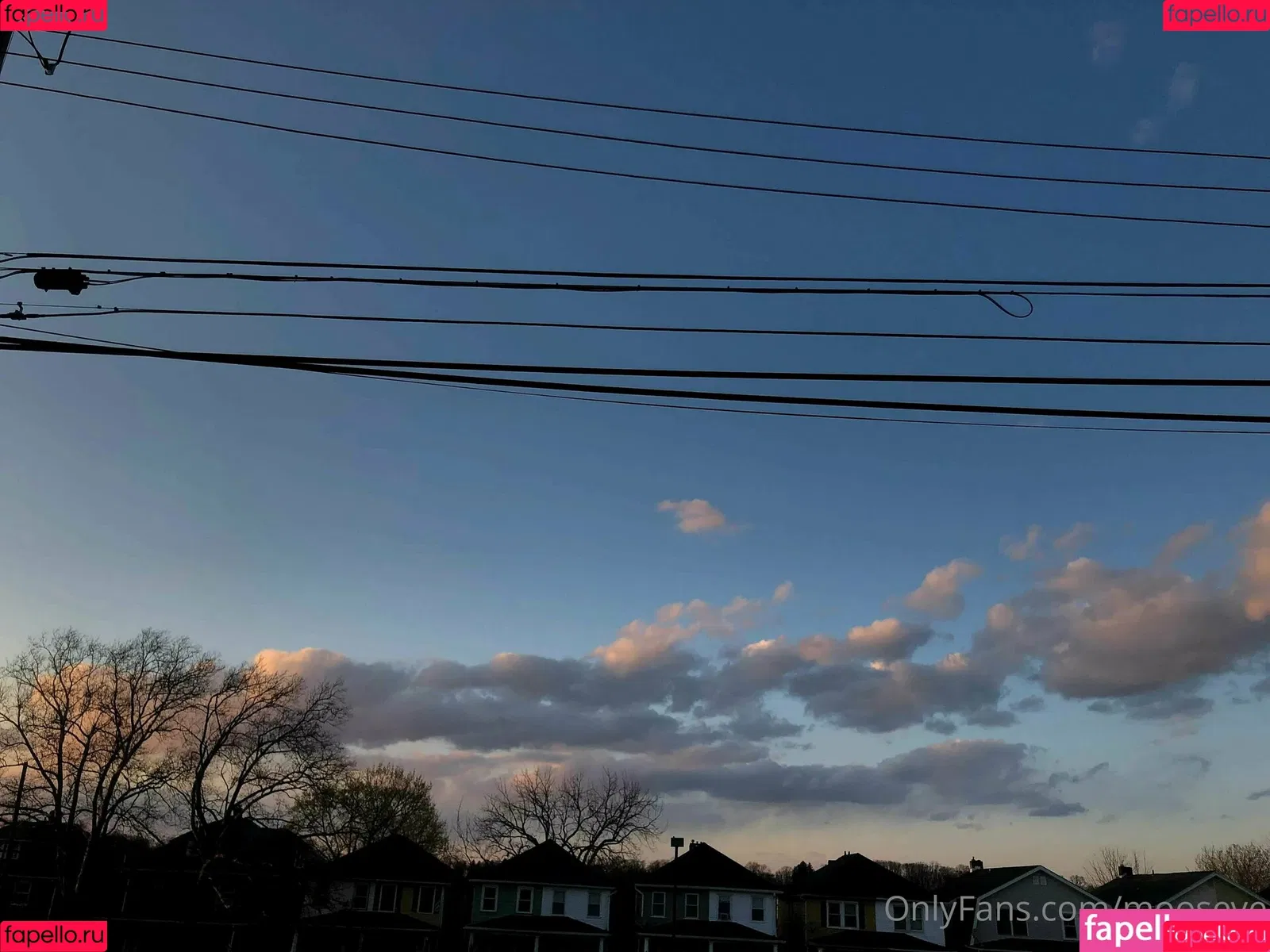 moose.ve / mooseve Onlyfans Photo Gallery 