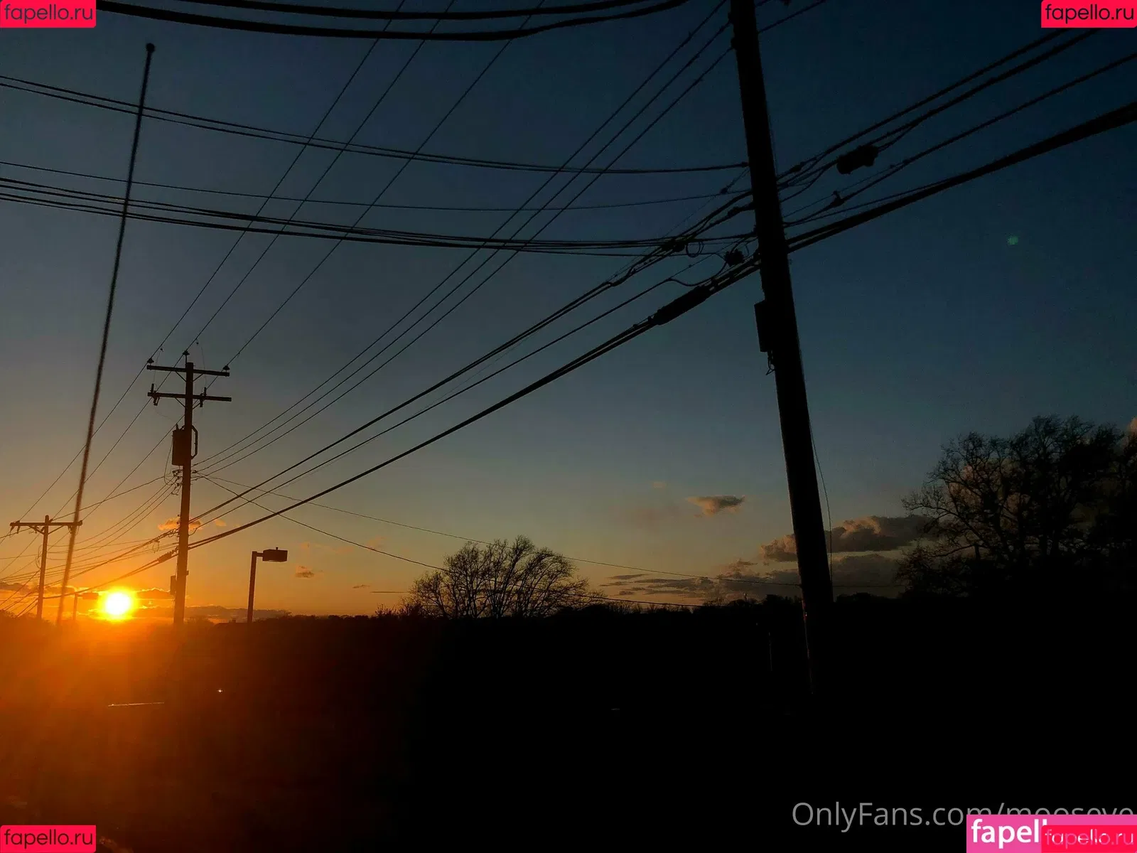 moose.ve / mooseve Onlyfans Photo Gallery 