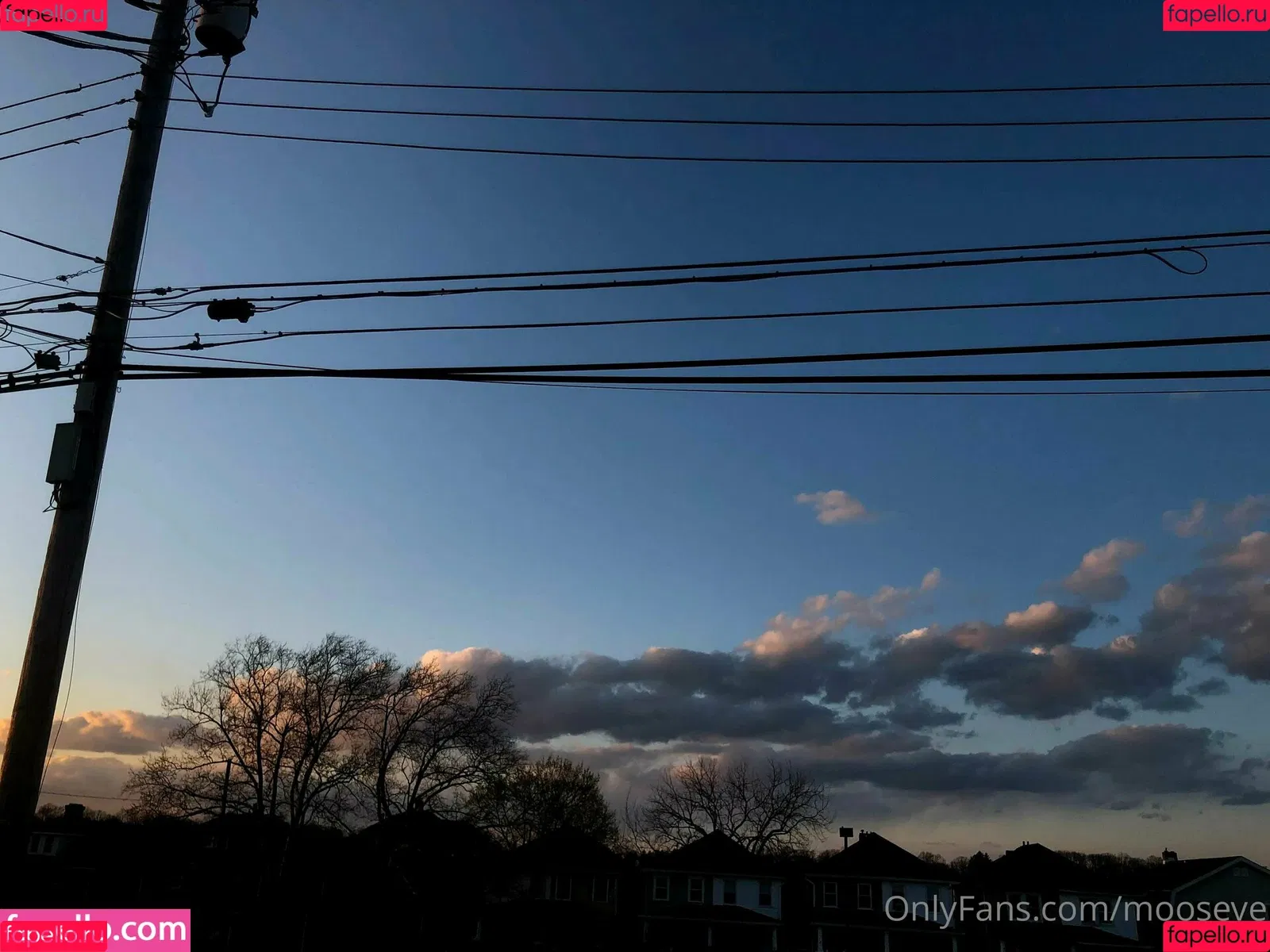 moose.ve / mooseve Onlyfans Photo Gallery 