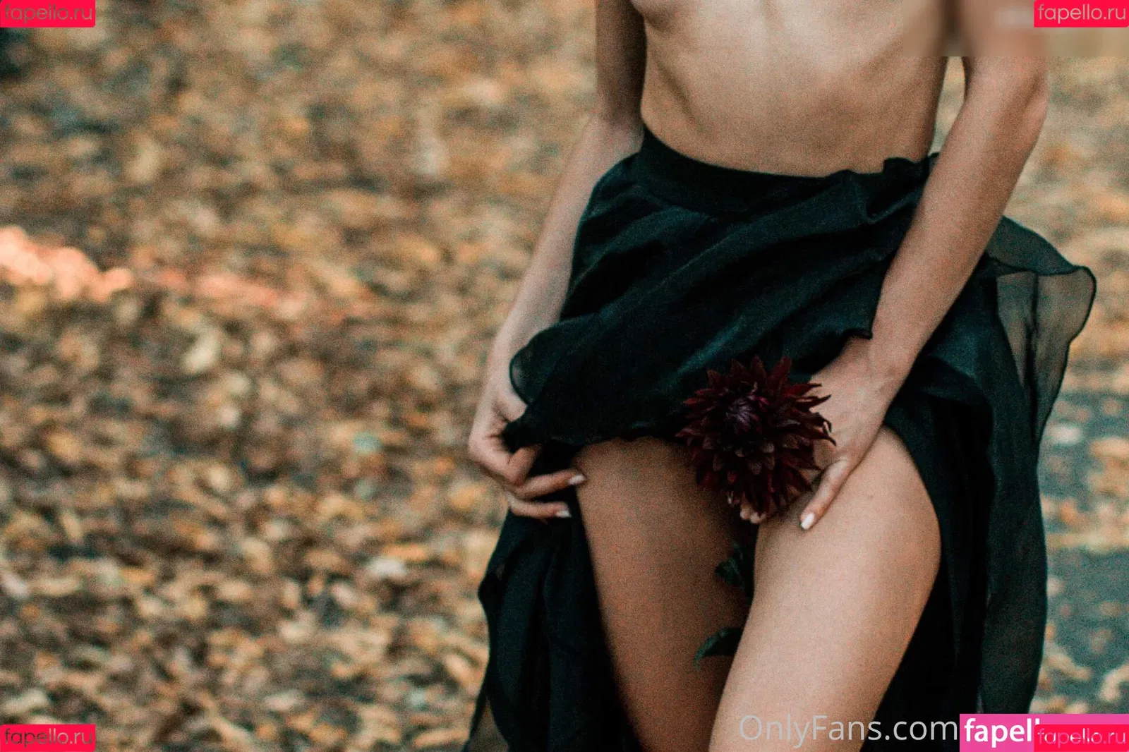 Amelie Lou / amelielou / amelielou4u / amelielou4u2 Onlyfans Photo Gallery 