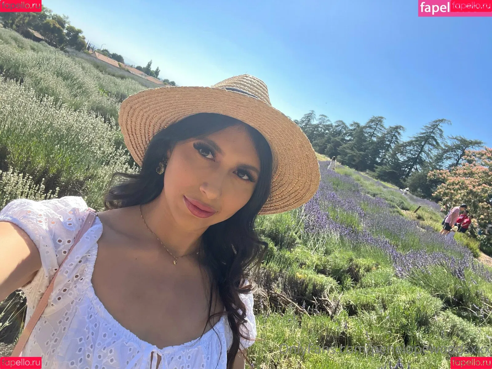 penelopewoods3x / penelopewoodsxxx Onlyfans Photo Gallery 