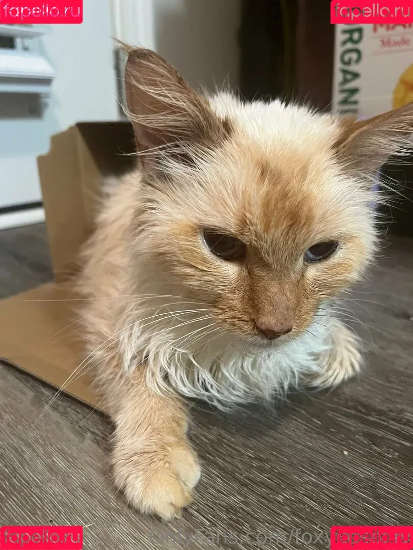 FoxyCosplay / foxy.cosplay / foxy_cosplay Onlyfans Photo Gallery 